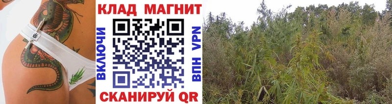 Купить Альфа ПВП  Каннабис  Кокаин  Меф  ГАШИШ  Южноуральск