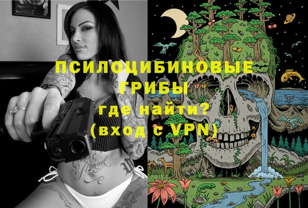 MESCALINE Лабытнанги