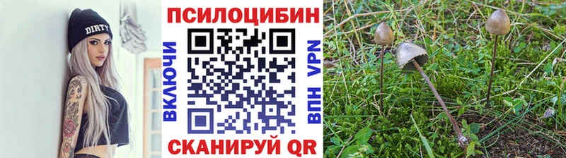 Купить где  Южноуральск  Псилоцибиновые грибы MAGIC MUSHROOMS 